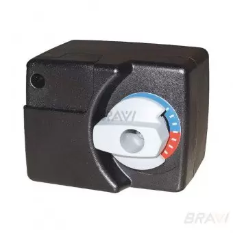 Сервопривод Bravi TRM