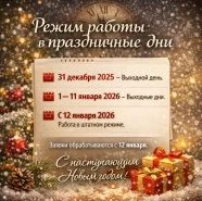 Режим работы в новогодние праздничные дни