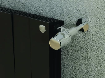 Биметаллический радиатор Royal Thermo PianoForte 100/500/Noir Sable, 1 секция